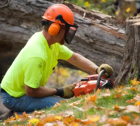 tree services Erath